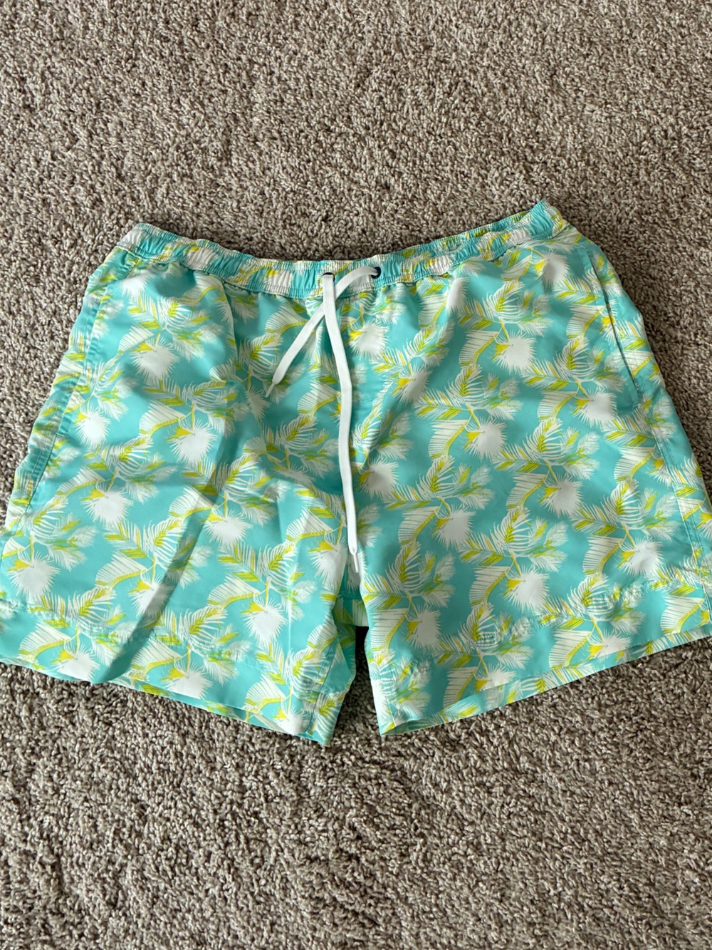 Southern Proper Aqua Palm-Print Swim Shorts